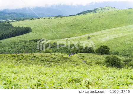 View of the Yashimagahara Marshland from Venus Hill on the Kirigamine Plateau View of the Yashimagahara Marshland from Venus Hill on the Kirigamine Plateau 116643746