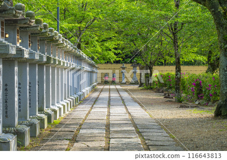 奈良安倍文殊院石鋪路引道 116643813