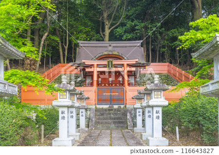 奈良阿部文殊院白參道 116643827