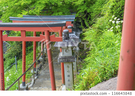奈良安倍文殊院稻荷神社 奈良安倍文殊院稻荷神社 116643848