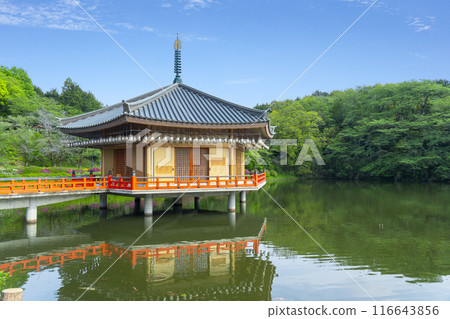 奈良阿部文殊院金閣浮見堂/靈寶館 奈良阿部文殊院金閣浮見堂/靈寶館 116643856