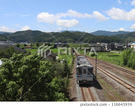 Trains on local lines 116643939