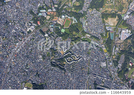 Suburban residential areas and university towns 116643959