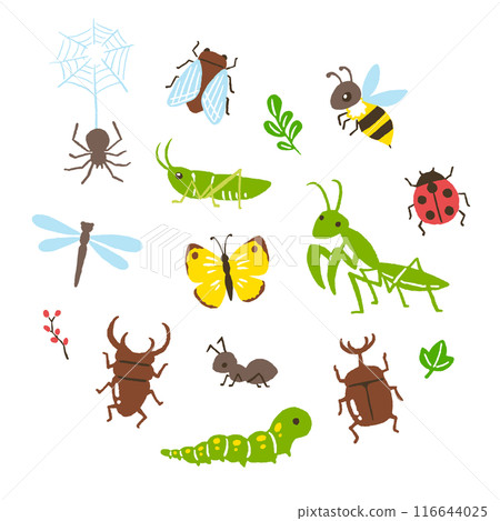 bug, vector, vectors 116644025