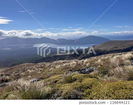 Tongariro National Park, a World Heritage Site in the North Island of New Zealand 116644121