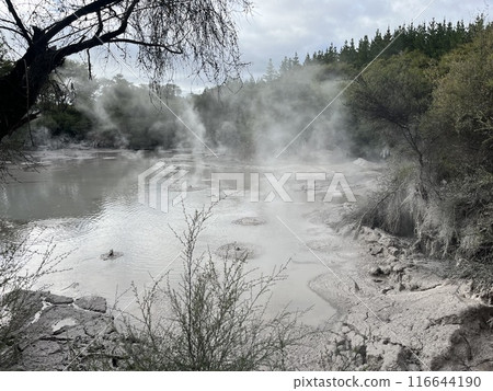 Mud pools in Waiotapu, North Island, New Zealand 116644190