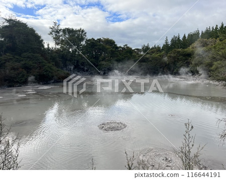 Mud pools in Waiotapu, North Island, New Zealand 116644191