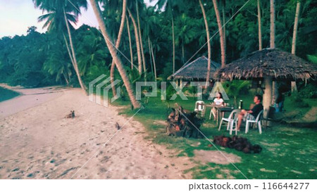 在菲律賓的私人海灘上，海浪輕輕拍打，風輕輕吹過，蟲鳴鳥叫，營造出大自然的和諧。 116644277