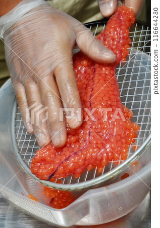 making salmon roe  116644280