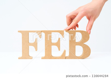 字母木塊排列著“FEB” 字母木塊排列著“FEB” 116644284