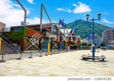 From the West Wharf to Mount Hakodate 116644289