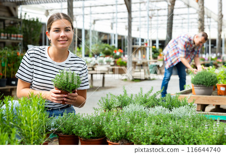 Young female shopper choosing ornamental thyme at garden center Young female shopper choosing ornamental thyme at garden center 116644740