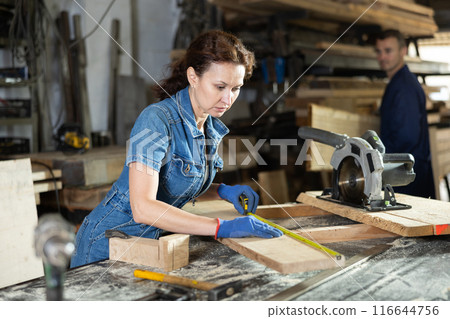 Woman employee of carpentry workshop makes measurements of wooden board, counts off set parameters Woman employee of carpentry workshop makes measurements of wooden board, counts off set parameters 116644756