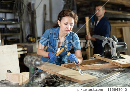 Female employee of carpentry workshop performs preparatory work on board with hammer and chisel Female employee of carpentry workshop performs preparatory work on board with hammer and chisel 116645040