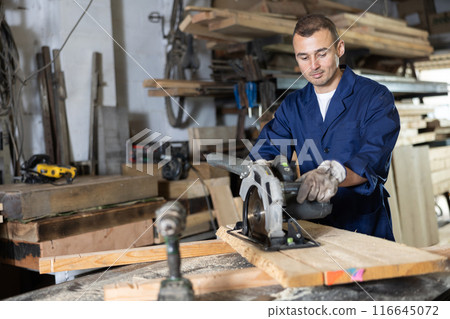 Male employee of workshop cuts wooden board into narrow parts using circular saw 116645072
