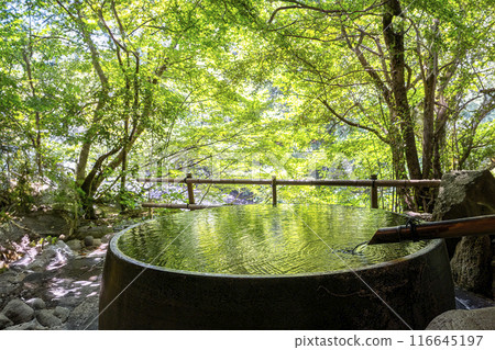 Fresh green open-air bath 116645197