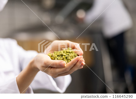 Hands of female brewer holding handful of pelletized hops 116645290