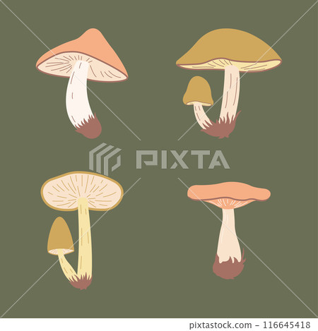 Cute Mushroom Fungi Fungus Food Illustration Vector Cartoon Sticker Cute Mushroom Fungi Fungus Food Illustration Vector Cartoon Sticker 116645418