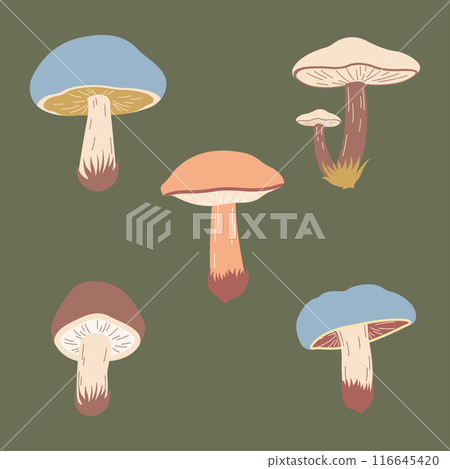 Cute Mushroom Fungi Fungus Food Illustration Vector Cartoon Sticker 116645420