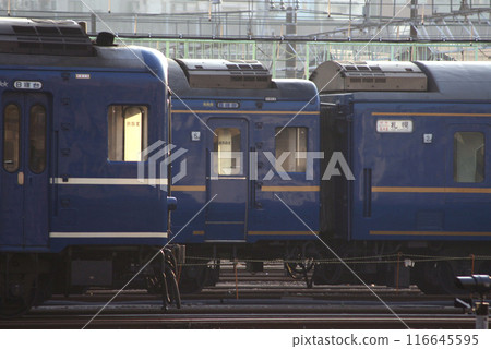 Sleeper trains such as the Hokutosei and Akebono trains parked at Oku Passenger Depot 116645595