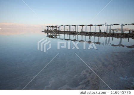 Evening landscape of the Dead Sea shore 116645776