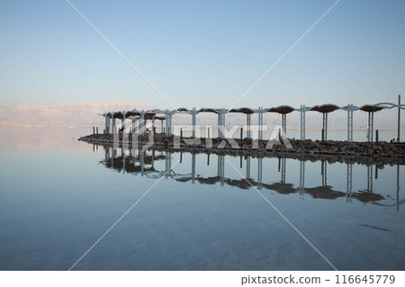 Evening landscape of the Dead Sea shore Evening landscape of the Dead Sea shore 116645779
