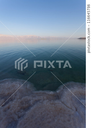Evening landscape of the Dead Sea shore Evening landscape of the Dead Sea shore 116645786