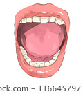 Wide open mouth 116645797