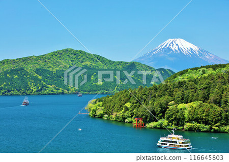 初夏的箱根和富士山的藍天和綠意 116645803