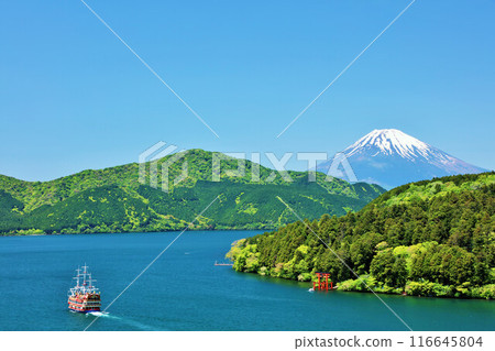 Early summer blue skies and fresh greenery in Hakone and Mount Fuji 116645804