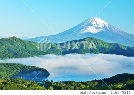 初夏的早晨，箱根的富士山和雲海 116645811