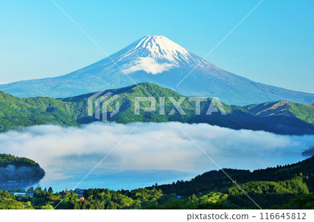 Early summer morning: Mt. Fuji and sea of clouds from Hakone 116645812