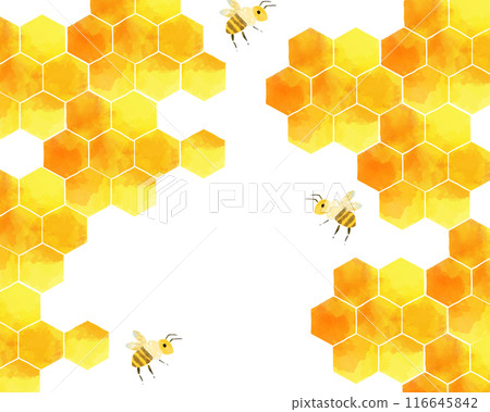 飛行的蜜蜂和蜂窩圖案的水彩風格插圖 飛行的蜜蜂和蜂窩圖案的水彩風格插圖 116645842
