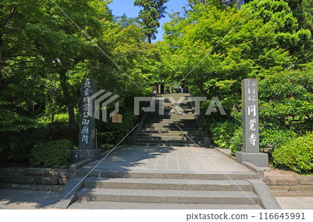 Shogun temple gate 116645991