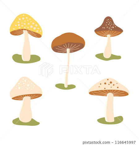 Cute Mushroom Polka Dots Fungi Fungus Food Vector Illustration Sticker Collection Cute Mushroom Polka Dots Fungi Fungus Food Vector Illustration Sticker Collection 116645997