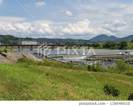 Scenery along the Yamato River under the summer sky 116646010