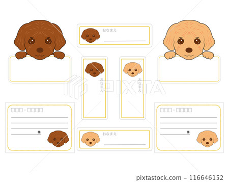Labels for 4 types and 2 colors of toy poodle puppies Labels for 4 types and 2 colors of toy poodle puppies 116646152