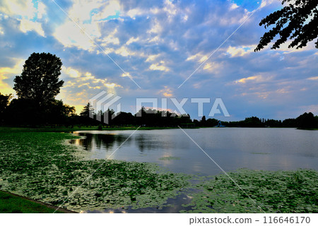 東京都水本公園 天使之梯的陰天夜景 116646170