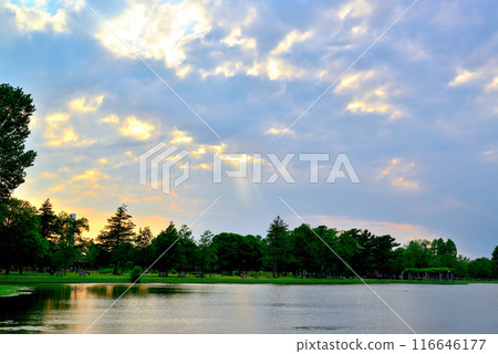 東京都水本公園 天使之梯的陰天夜景 116646177