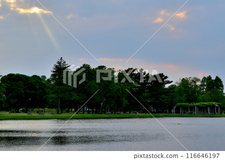 東京都水本公園 天使之梯的陰天夜景 116646197