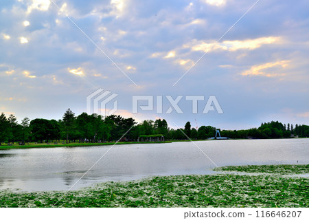 Tokyo Metropolitan Mizumoto Park, cloudy evening, Angel's Ladder 116646207