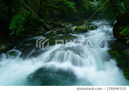 Spectacular views of Kikuchi Valley 116646520