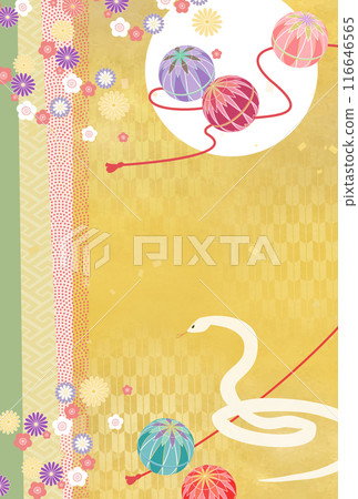 New Year's illustration of Temari and Snake 116646565