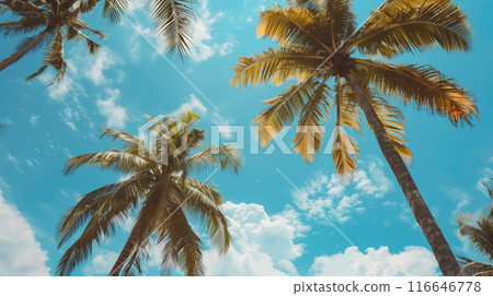 AI 生成的圖像描繪了一棵棕櫚樹從下方仰望藍天 AI 生成的圖像描繪了一棵棕櫚樹從下方仰望藍天 116646778