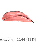 Lips twisted into a frown 116646854