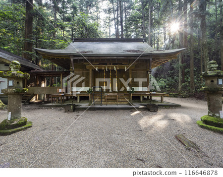 沐浴朝陽的室龍軒神社的參拜殿 116646878