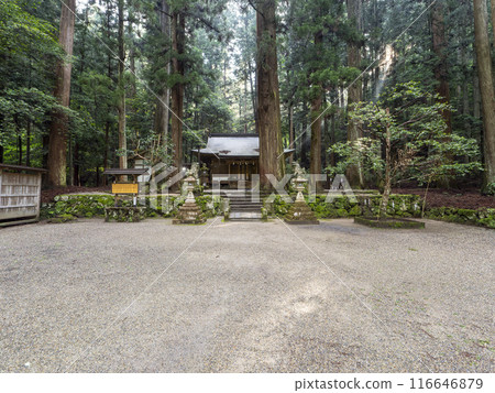 沐浴朝陽的室龍軒神社的參拜殿 116646879
