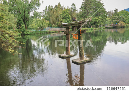 Torii on Kinrin Lake in Yufuin, Oita, Japan May 15 2024 116647261