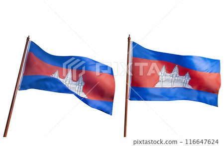 Two flags of the same country, one is blue and red, the other is blue and white 116647624