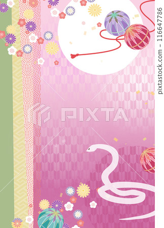 New Year's illustration of Temari and Snake 116647786